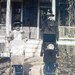 vintage photo Little Mommies w the Dolls in Buggies 1918