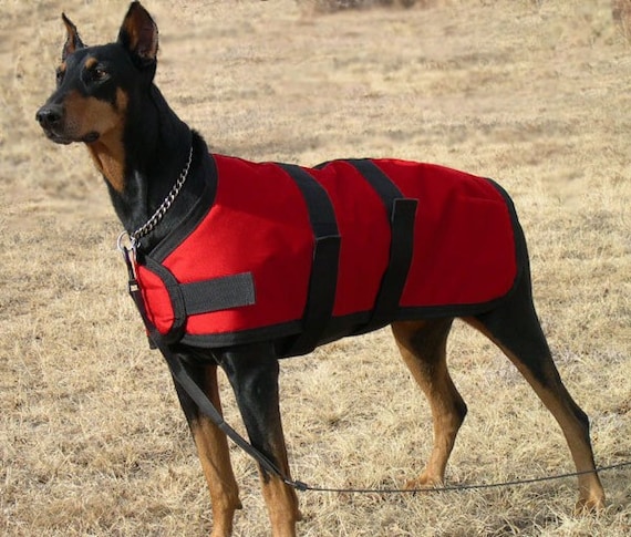 INSULATED WATERPROOF RED WINTER DOG COAT size 26 for LARGE DOG