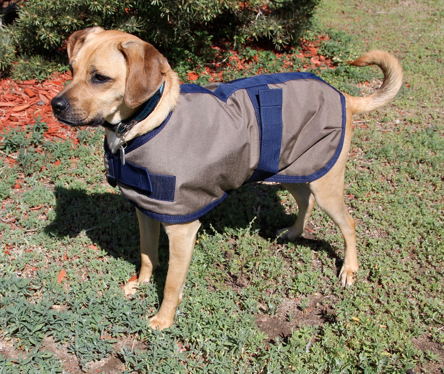 DOG COAT size 18 durable and warm made to last great for