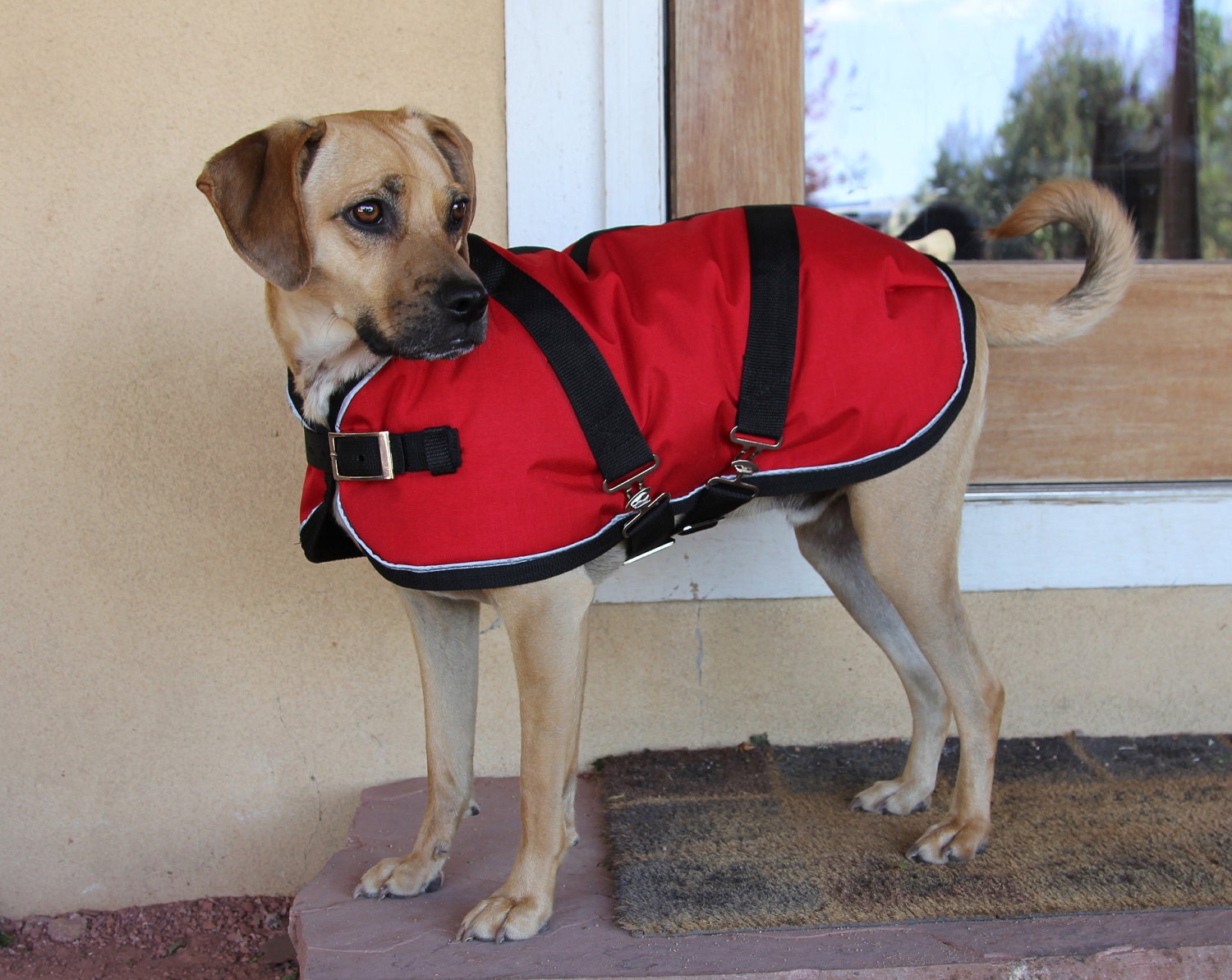 Extra Warm Winter Dog Coat size 16 17 waterproof and
