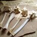 Assortment Aged Leg & Vertebrae Bones Desert Critters, Coyote, Deer, Cow Altered Art Assemblage