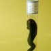 Ectoplasm Black