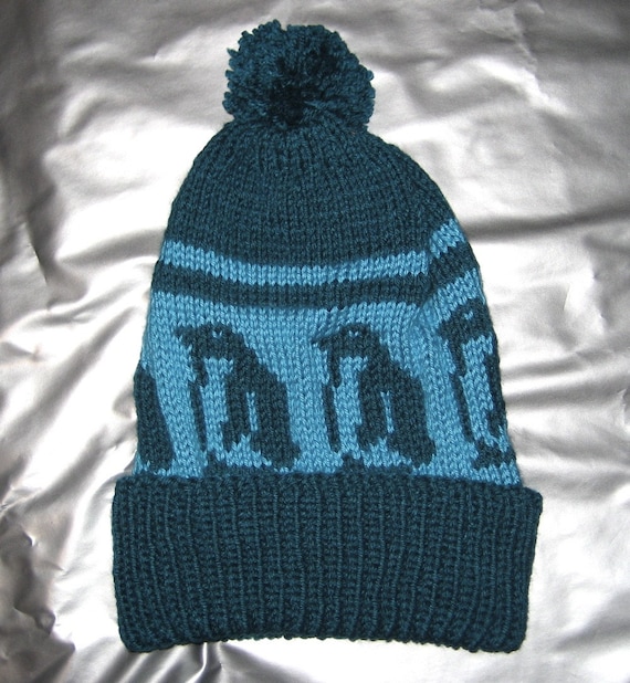 AQUA PENGUIN Hand Knit Winter Ski Snowboard Hat with Pompom