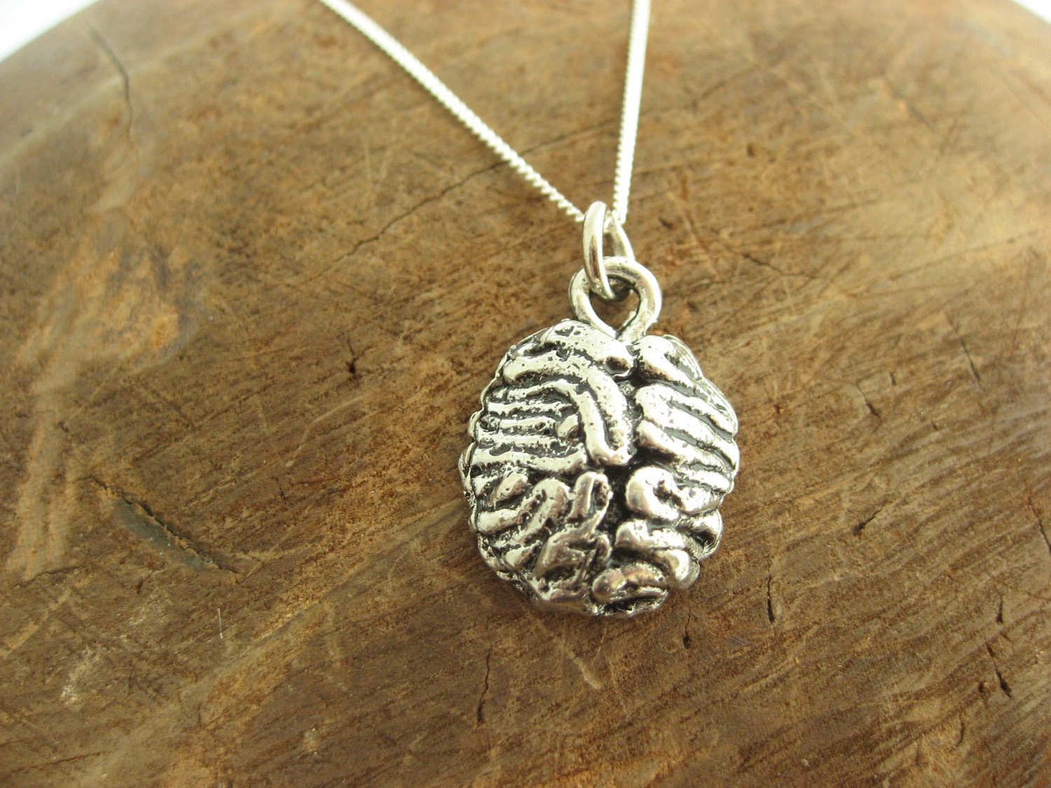 Brain Charm Necklace with Sterling Silver Chain