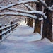 Original Oil Painting - snow - fence - trees- walk