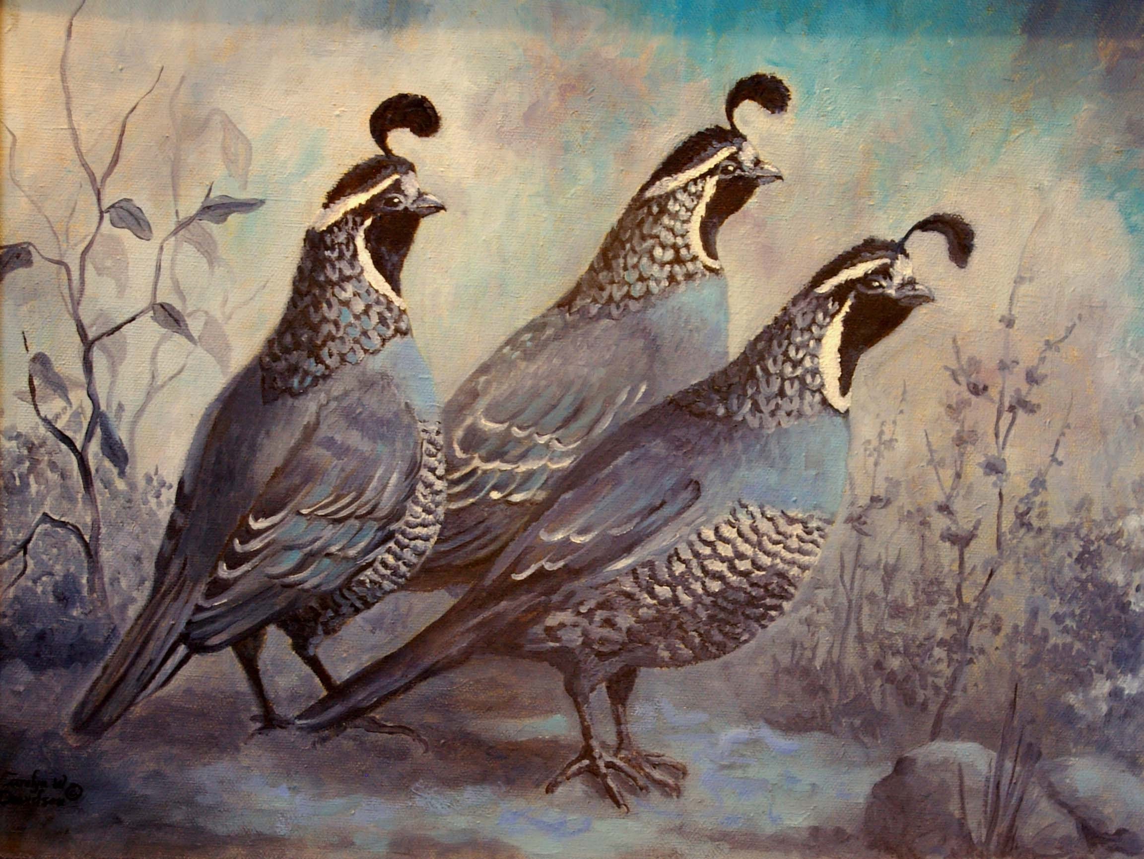 Original Oil Painting California Quail The Blues   Il Fullxfull.35211613 