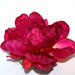 NOW With MORE LAYERS -- Dark Fuchsia Pink Full Peony - Boutique Style - 5 inches -- Artificial Flower