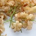 Artificial Flowers - 50 Tiny Blossoms in Khaki Beige Tan