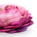 Silk Flowers - Two Toned Purple and Pink Garden Rose - 4 inches - Artificial Flower