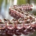 Topaz Pink Czech Glass Bead 10mm Faceted FP Round : LAST 8 pc