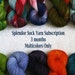 Splendor Sock Yarn - 3 month Subscription - All Multicolors