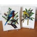 2 Vintage Lithographs - Birds by Ph. Gonner L5