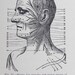 Nursing in Nervous Diseases