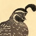 Quail Linocut