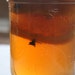 Saskatchewan Spiced Honey