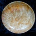 Mulberry burl, display bowl, ON SALE 100.00 , simple, yet beautiful.....