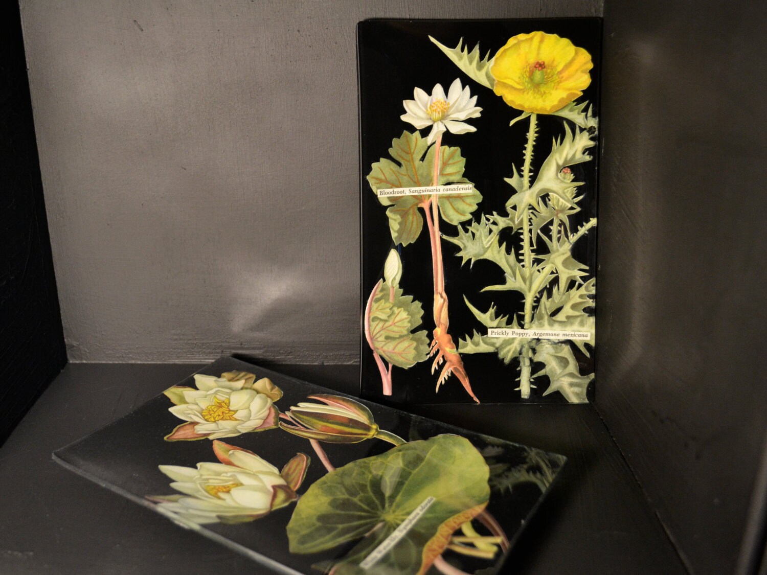 Blackboard Botanical Decoupage Glass Tray Decoupage Plate
