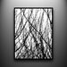 Branches 1: 18x24 Hand-Cut Paper Art, framed and one-of-a-kind