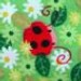 babybloomers