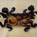 His Rubbery Grasp... original mixed media steampunk tentacle goggle mask