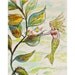 Mermaid art, underwater fantasy, watercolor painting, mermaid games, green, underwater vine, cute girl, fish, fun, sea, sea life, original