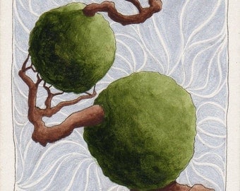 Original ACEO Twisted Bonsai Topiary