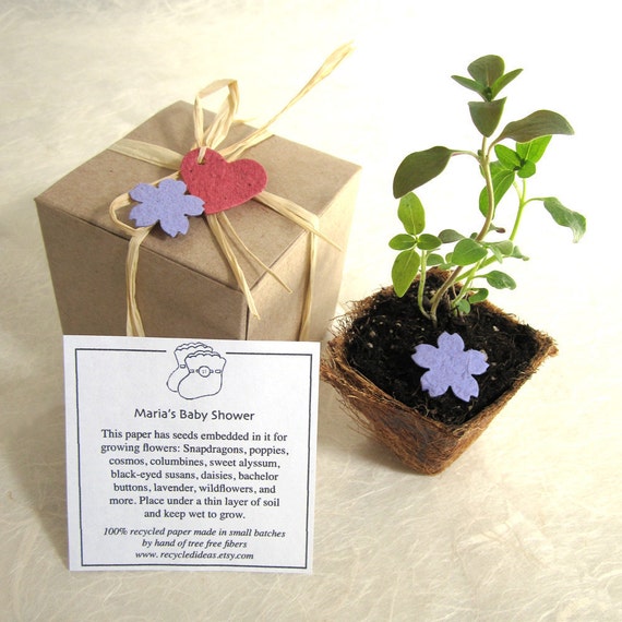 30 Flower Seed Wedding Favors Box Planting Kit with Plantable