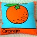 The Orange Fruit: Color Learning Pillow for Children