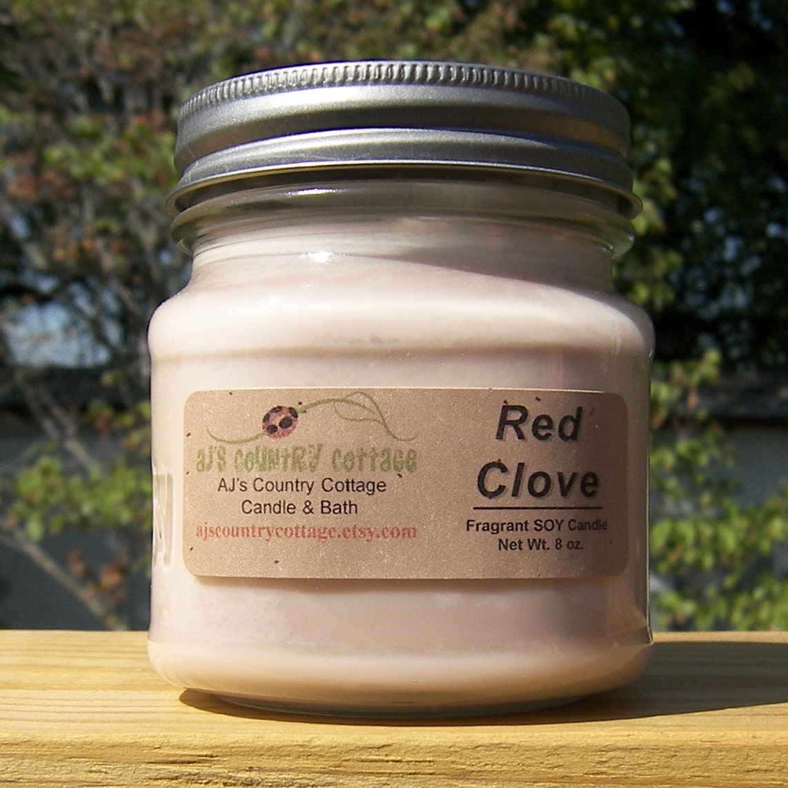 CLOVE SOY CANDLE Highly Scented Spicy