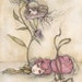 ORIGINAL Painting - Dianthus