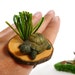 Adjustable Wood Slice Ring with Turtle in the Grass - MISS TURTLE