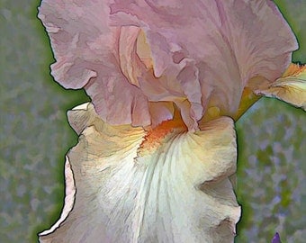 Iris Giclee Print, Fine Art Photography, Digital Art, Home Decor, Office Wall Art