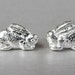 itsy bitsy silver bunny rabbit earrings by kimberlynogueira