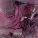 Fragments Of The Past 3 ...Original Mixed Media Aceo collage painting EBSQ ACEO ACETSY Team
