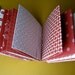 Matchbook Notepads - The Cherry Bomb - set of 12
