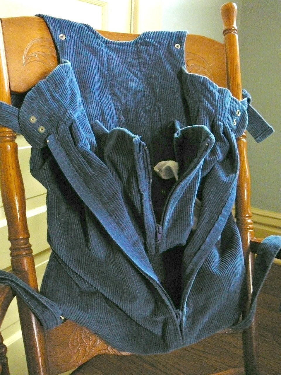 Snugli Baby Carrier