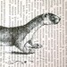 Ferret Print on Vintage Russian Book Page - 5 x 7