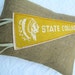 Pennant Pillow - State College, PA