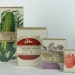 FARMERS MARKET FRESH PRODUCE LETTERPRESS GREETING CARD GIFT PACK