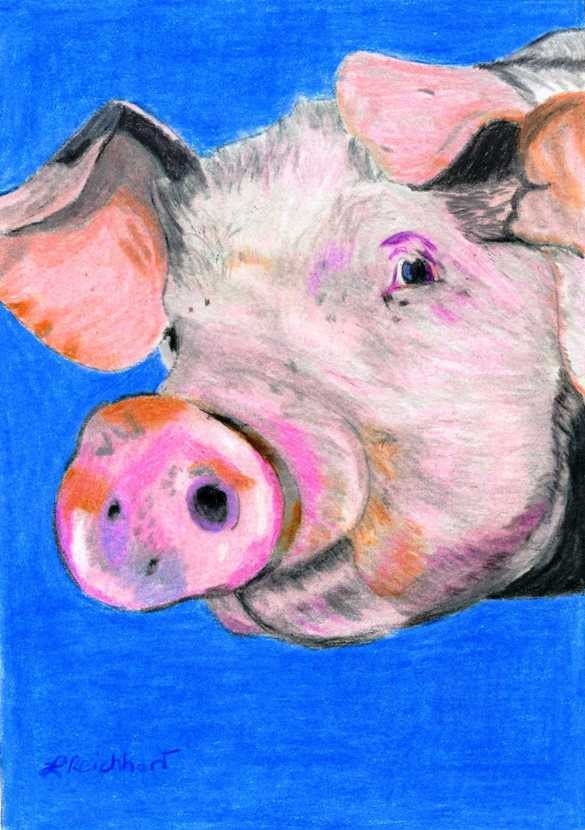 Cute Pink Pig colored pencil painting print Farm animals kids