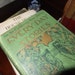 Turn of the Century Children's Book