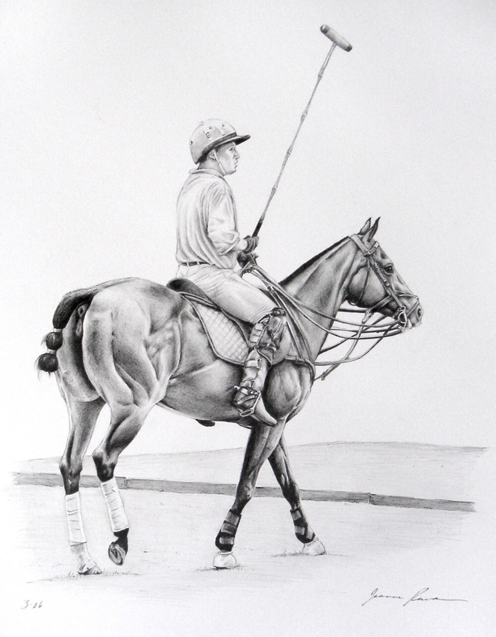 Polo Pony horse art original graphite pencil horse drawing