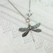 Silver Dragonfly