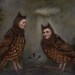 What Did That Owl Do to You Print