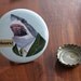 Shark Bottle Opener Keychain - Ryan Berkley Illustration