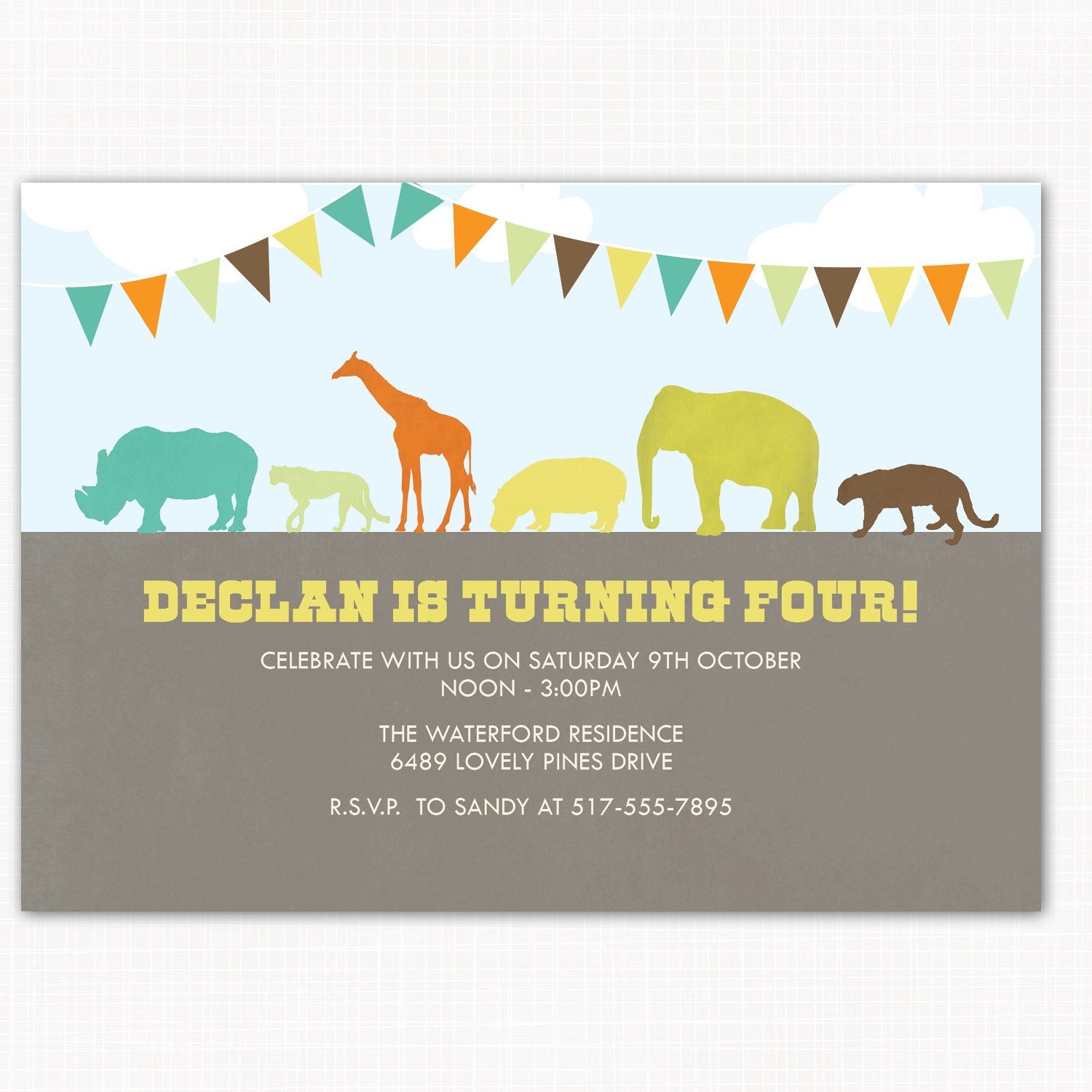 Zoo Themed Birthday Invitations 6