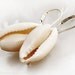 Sea shell jewelry - Cowry sea shell earrings in sterling silver - Iredale