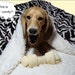 Minky Snuggle Sack - Dog Bed - Pets - Cat Sack - Chocolate Tiger Stripes - 14 x 20 - Free Embroidered Personalization