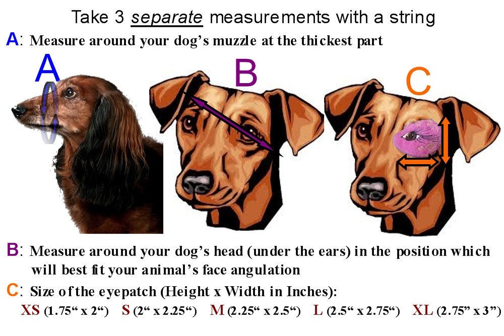 Dog Eye Patch Eye Love You Dogs Pets Custom Embroidery