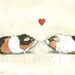 Guinea Pig Love -Original Watercolor painted print
